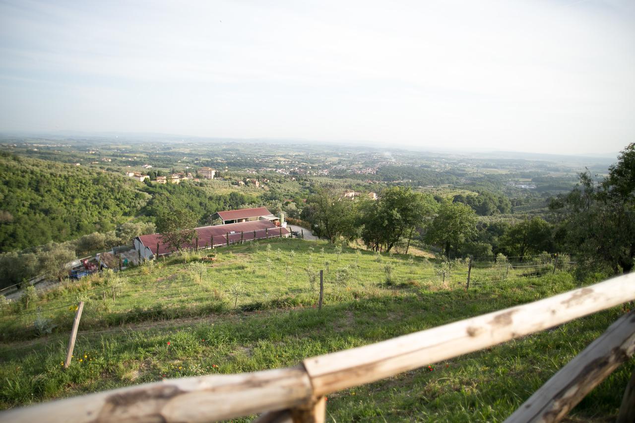 La Dispensa-Bio Agriturismo Lamporecchio Luaran gambar